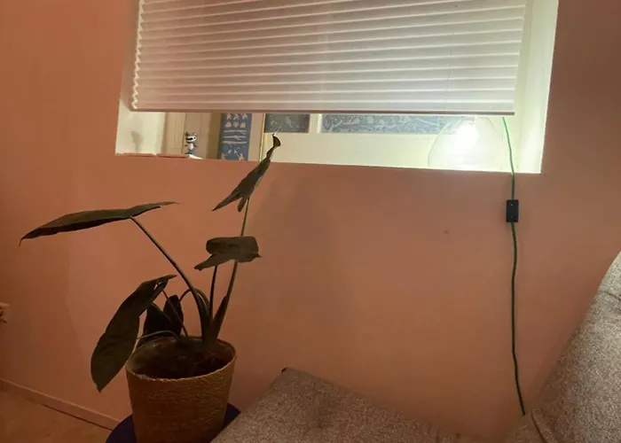 Casa de hóspedes Scheepmakershaven Schoonhoven